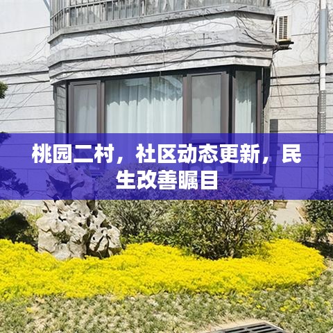 桃园二村，社区动态更新，民生改善瞩目