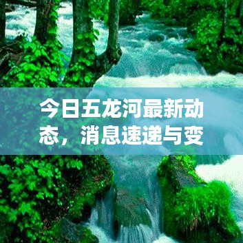 今日五龙河最新动态，消息速递与变化概览