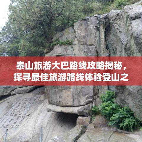 泰山旅游大巴路线攻略揭秘，探寻最佳旅游路线体验登山之旅