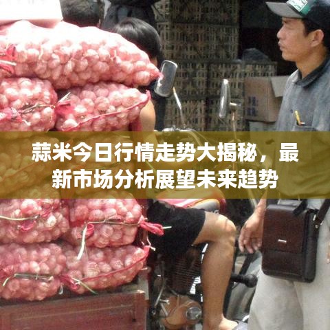 蒜米今日行情走势大揭秘，最新市场分析展望未来趋势