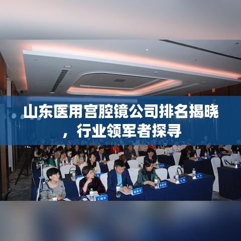 山东医用宫腔镜公司排名揭晓，行业领军者探寻
