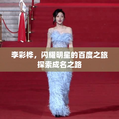 李彩桦，闪耀明星的百度之旅探索成名之路