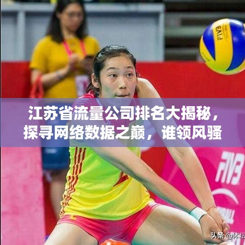 江苏省流量公司排名大揭秘，探寻网络数据之巅，谁领风骚？