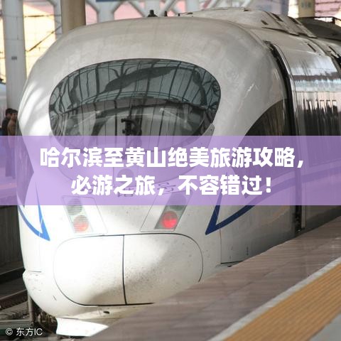 哈尔滨至黄山绝美旅游攻略，必游之旅，不容错过！