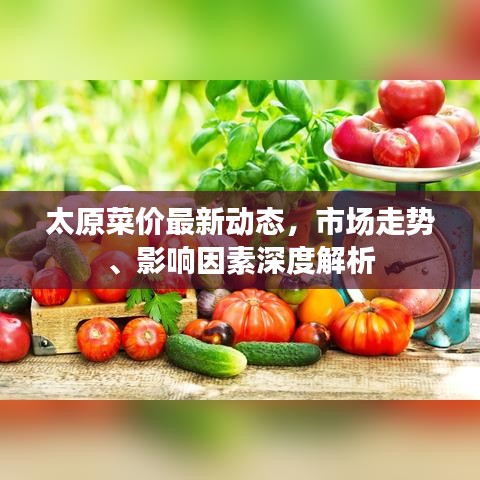 2025年6月5日 第3页