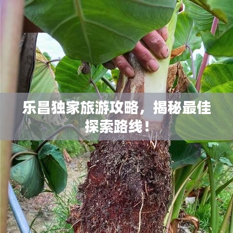 乐昌独家旅游攻略，揭秘最佳探索路线！
