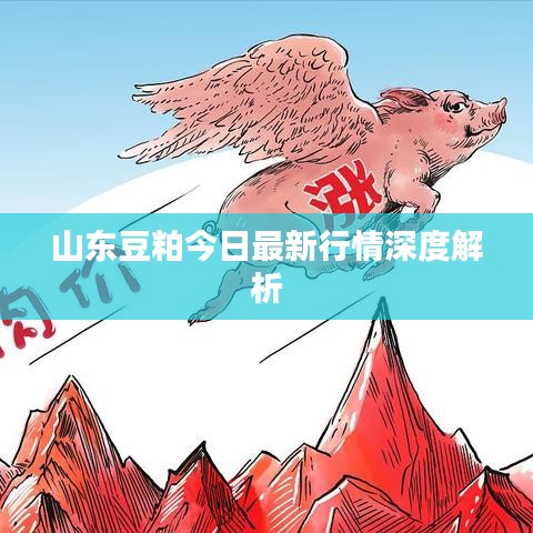 山东豆粕今日最新行情深度解析