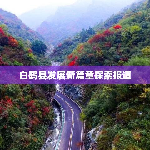 白鹤县发展新篇章探索报道