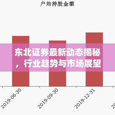 东北证券最新动态揭秘，行业趋势与市场展望