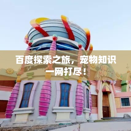 百度探索之旅，宠物知识一网打尽！