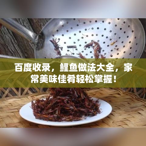 百度收录，鲤鱼做法大全，家常美味佳肴轻松掌握！