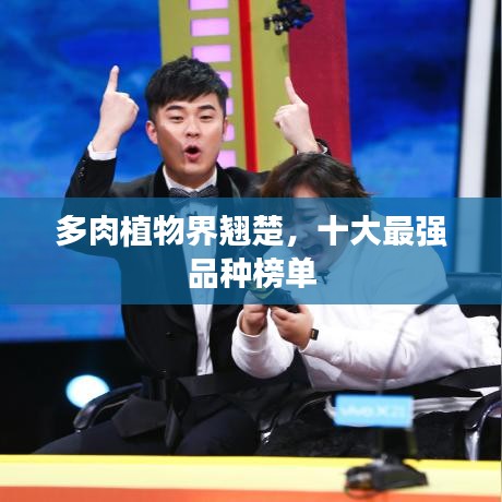 多肉植物界翘楚，十大最强品种榜单