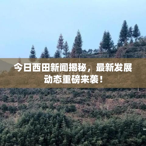 今日西田新闻揭秘，最新发展动态重磅来袭！