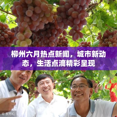 柳州六月热点新闻，城市新动态，生活点滴精彩呈现
