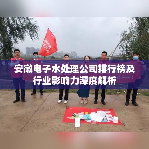安徽电子水处理公司排行榜及行业影响力深度解析