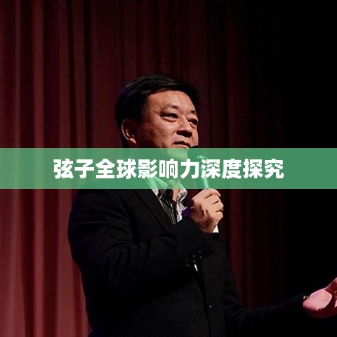 弦子全球影响力深度探究