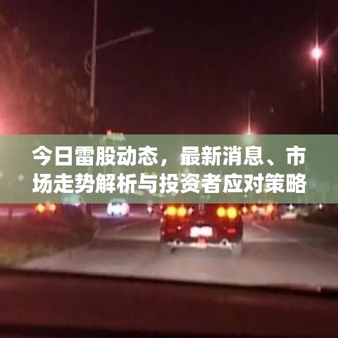 今日雷股动态，最新消息、市场走势解析与投资者应对策略一网打尽