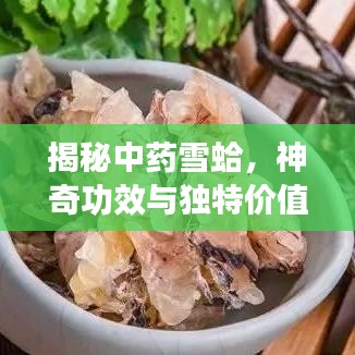揭秘中药雪蛤，神奇功效与独特价值全解析
