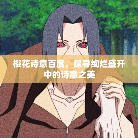 樱花诗意百度，探寻绚烂盛开中的诗意之美