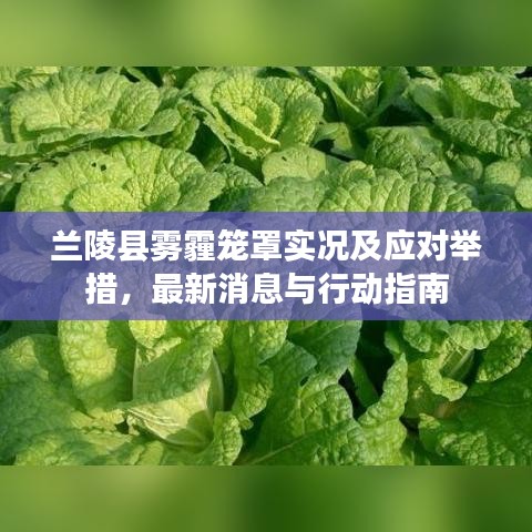 兰陵县雾霾笼罩实况及应对举措，最新消息与行动指南
