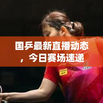 国乒最新直播动态，今日赛场速递
