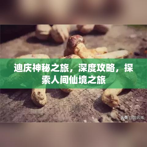 迪庆神秘之旅，深度攻略，探索人间仙境之旅