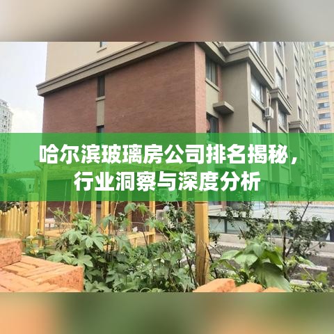 哈尔滨玻璃房公司排名揭秘，行业洞察与深度分析