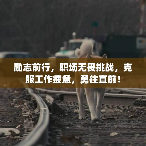 励志前行，职场无畏挑战，克服工作疲惫，勇往直前！