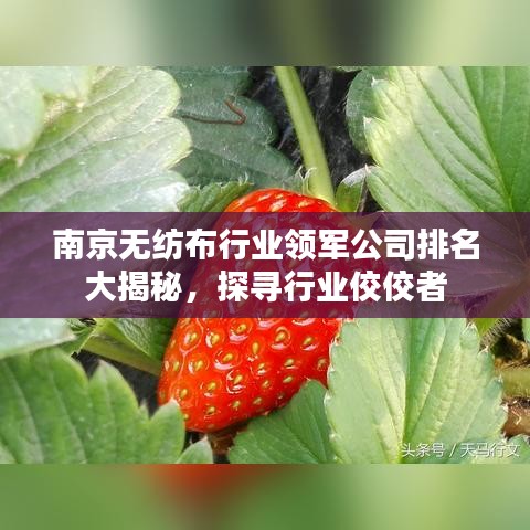 2025年6月7日 第23页