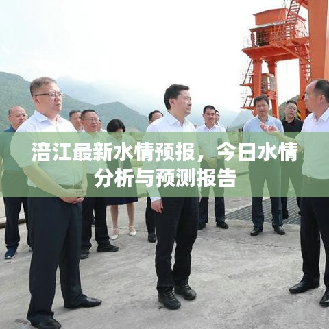 涪江最新水情预报，今日水情分析与预测报告