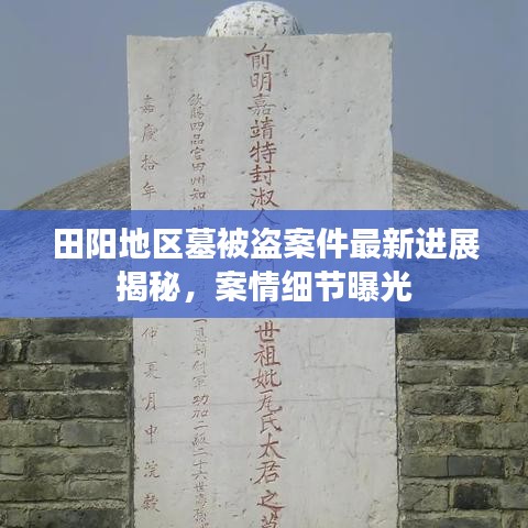 田阳地区墓被盗案件最新进展揭秘，案情细节曝光
