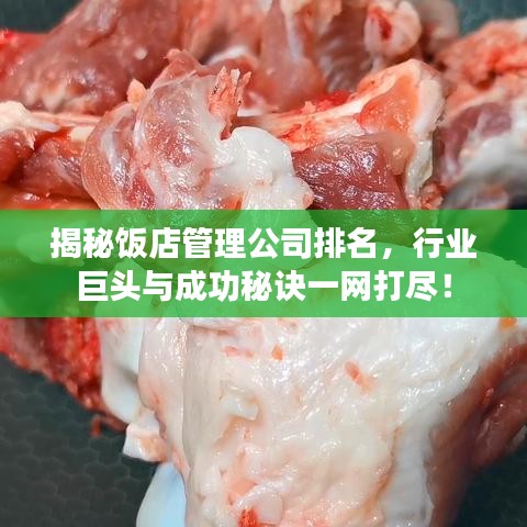 揭秘饭店管理公司排名，行业巨头与成功秘诀一网打尽！