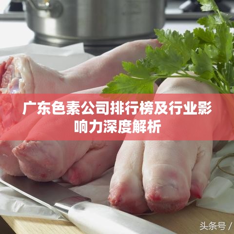 广东色素公司排行榜及行业影响力深度解析