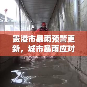 贵港市暴雨预警更新，城市暴雨应对全攻略