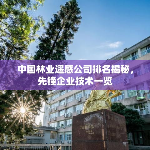 中国林业遥感公司排名揭秘，先锋企业技术一览