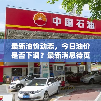 最新油价动态，今日油价是否下调？最新消息待更新