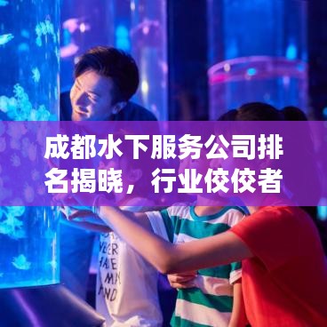 成都水下服务公司排名揭晓，行业佼佼者深度揭秘