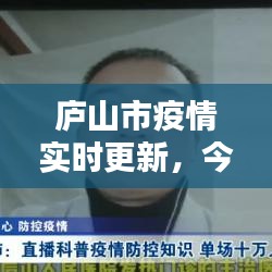 庐山市疫情实时更新，今日动态、应对策略全解析