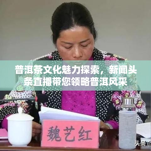 普洱茶文化魅力探索，新闻头条直播带您领略普洱风采