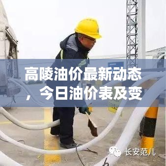 高陵油价最新动态，今日油价表及变动趋势深度解析
