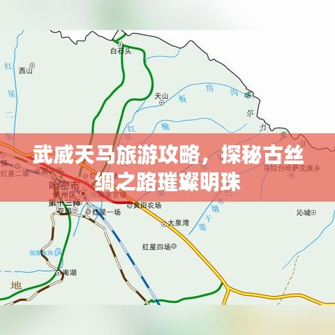武威天马旅游攻略，探秘古丝绸之路璀璨明珠