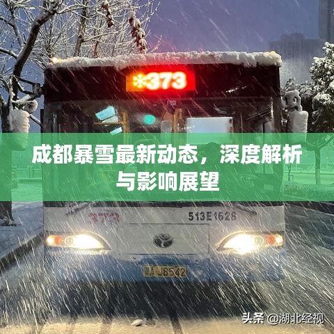 成都暴雪最新动态，深度解析与影响展望