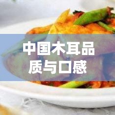 中国木耳品质与口感TOP10榜单，选购指南一网打尽！