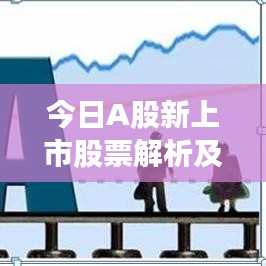 今日A股新上市股票解析及市场走势展望