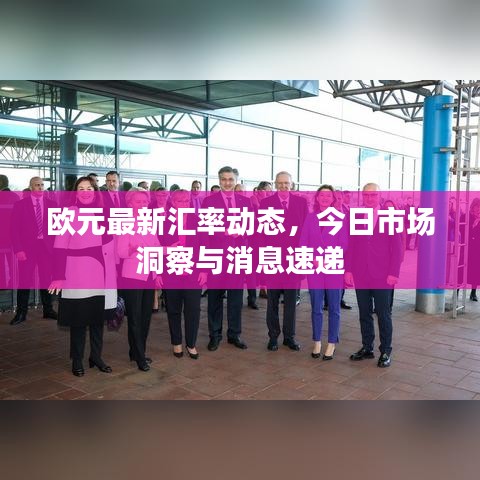 欧元最新汇率动态，今日市场洞察与消息速递