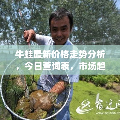 牛蛙最新价格走势分析，今日查询表，市场趋势预测报告