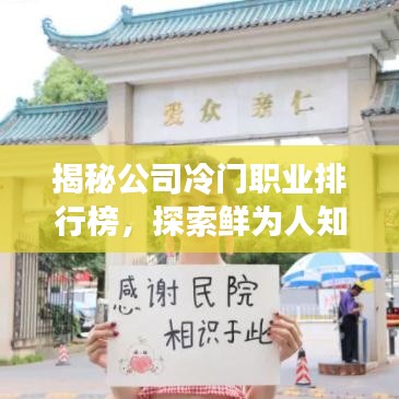 揭秘公司冷门职业排行榜，探索鲜为人知的神秘领域