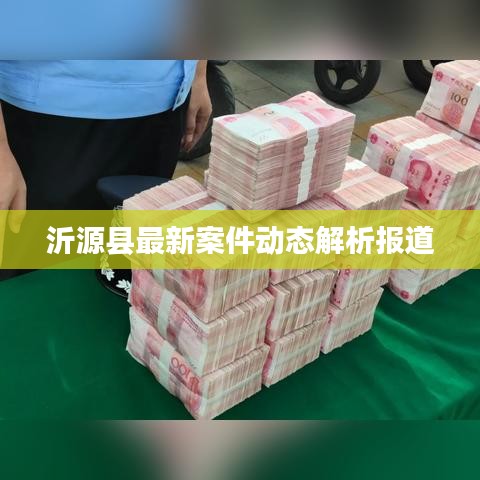 沂源县最新案件动态解析报道