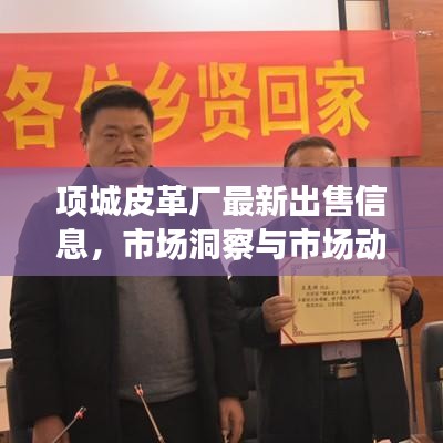 项城皮革厂最新出售信息，市场洞察与市场动态速递