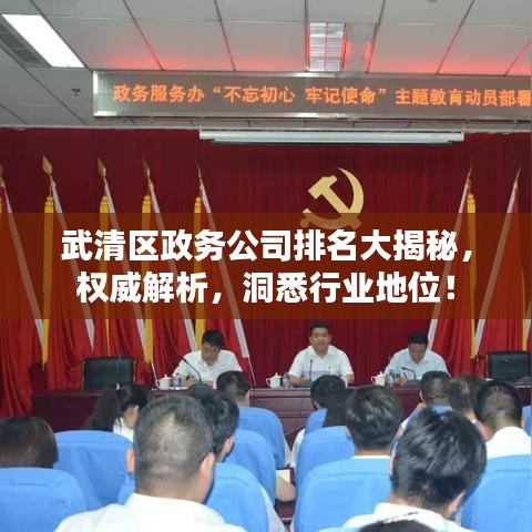 武清区政务公司排名大揭秘，权威解析，洞悉行业地位！